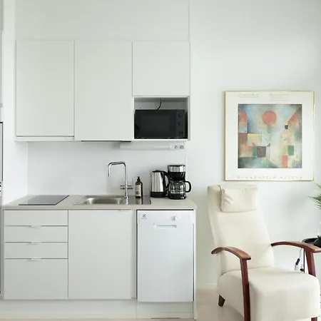 Framnaes 基尔科努米